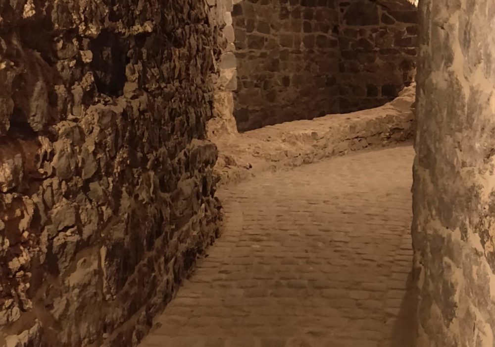 2022 02 08 tunnel