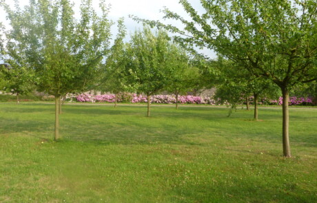 Mielmont – Le parc de Mielmont 1
