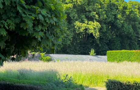 Mielmont – Le parc de Mielmont 2