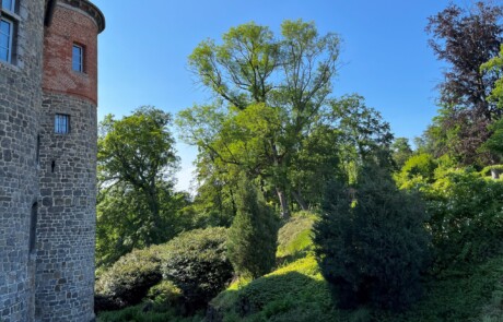 Mielmont – Le parc de Mielmont 3